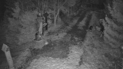 Bílá - běžecká trať