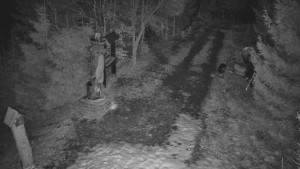 Skiareál Bílá - Bílá - běžecká trať - 5.3.2026 v 02:00 Skiareál Bílá - Bílá - běžecká trať - 5.3.2026 v 02:00