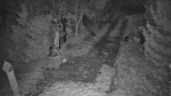 Bílá - běžecká trať