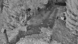 Bílá - běžecká trať