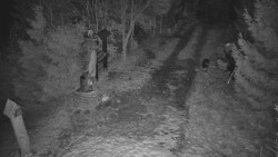 Bílá - běžecká trať