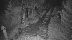 Bílá - běžecká trať