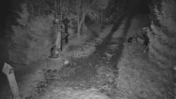 Bílá - běžecká trať