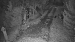 Bílá - běžecká trať