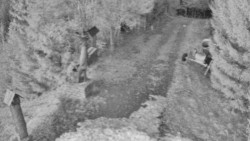 Bílá - běžecká trať