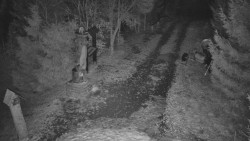 Bílá - běžecká trať