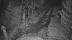 Bílá - běžecká trať