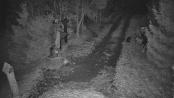 Bílá - běžecká trať