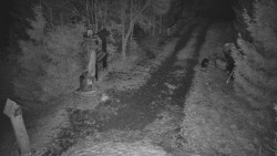 Bílá - běžecká trať