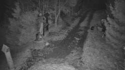 Bílá - běžecká trať