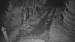 Bílá - běžecká trať