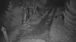 Bílá - běžecká trať