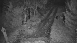 Bílá - běžecká trať