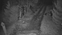 Bílá - běžecká trať