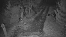 Bílá - běžecká trať