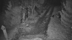 Bílá - běžecká trať