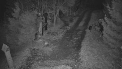 Bílá - běžecká trať