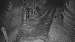 Bílá - běžecká trať