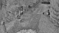 Bílá - běžecká trať