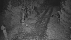 Bílá - běžecká trať