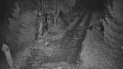 Bílá - běžecká trať