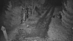 Bílá - běžecká trať