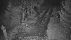 Bílá - běžecká trať