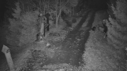 Bílá - běžecká trať