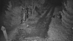 Bílá - běžecká trať