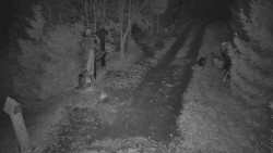 Bílá - běžecká trať