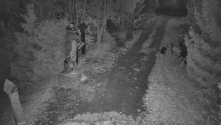 Bílá - běžecká trať