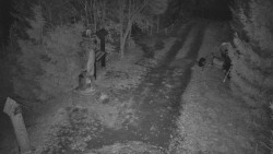 Bílá - běžecká trať