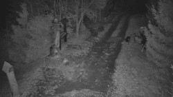 Bílá - běžecká trať