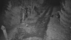 Bílá - běžecká trať