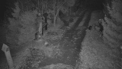 Bílá - běžecká trať