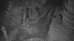 Bílá - běžecká trať