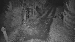 Bílá - běžecká trať