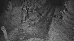 Bílá - běžecká trať