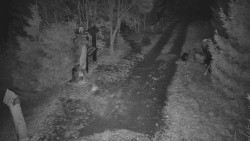 Bílá - běžecká trať