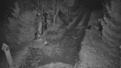 Bílá - běžecká trať