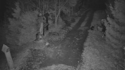 Bílá - běžecká trať