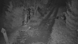 Bílá - běžecká trať