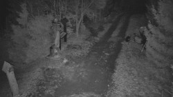 Bílá - běžecká trať