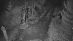 Bílá - běžecká trať