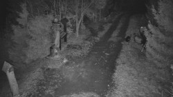 Bílá - běžecká trať