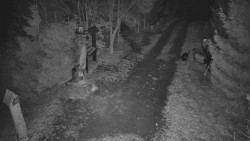 Bílá - běžecká trať