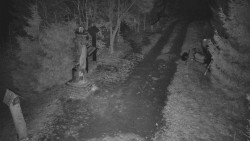 Bílá - běžecká trať