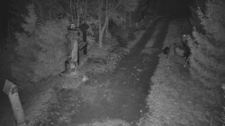 Bílá - běžecká trať