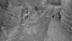 Bílá - běžecká trať