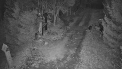 Bílá - běžecká trať